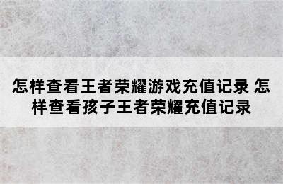 怎样查看王者荣耀游戏充值记录 怎样查看孩子王者荣耀充值记录